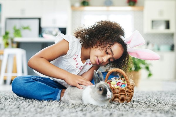 Peut-on laver un lapin angora ? Nos conseils