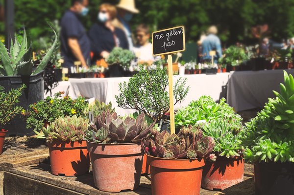 Pourquoi le prochain salon de l'environnement se déroule à Angers?