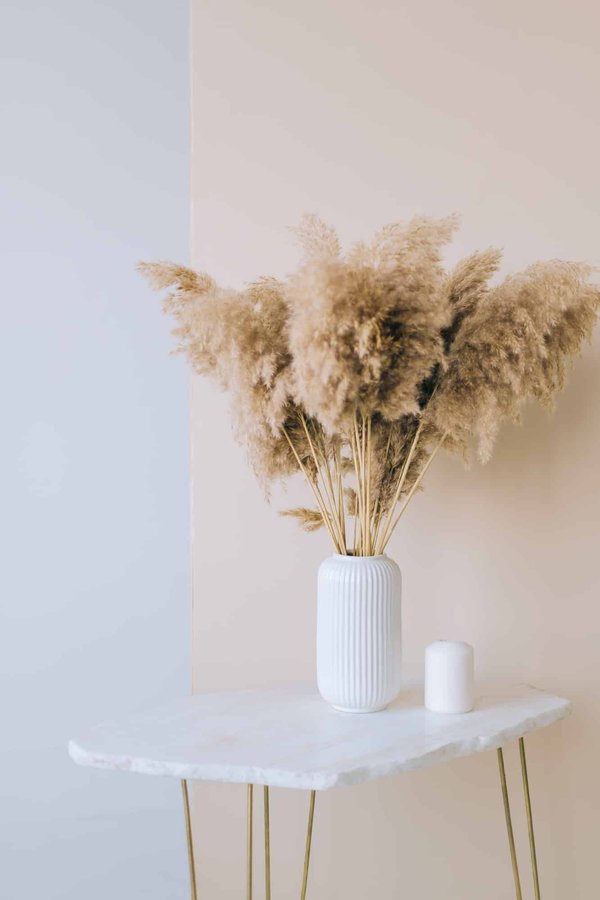La pampa en décoration: quelle vase choisir?